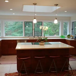 5-br Skylit Contemporary On 3 Forested Acres Holiday home